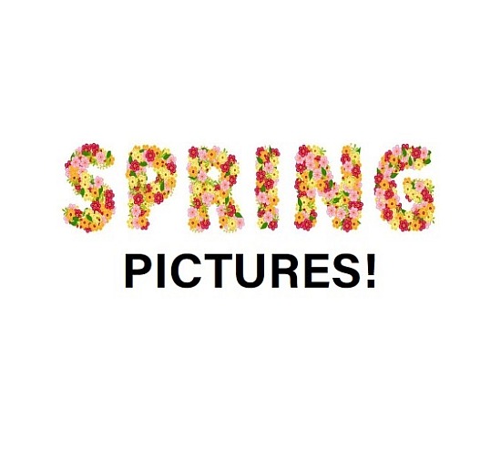 2024 Spring Pictures