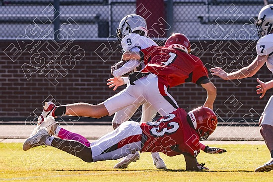 20241010 vs FPD